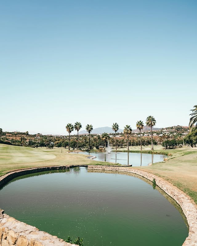 362668028_292459499964388_7079838807648251683_n..jpg - Marbella