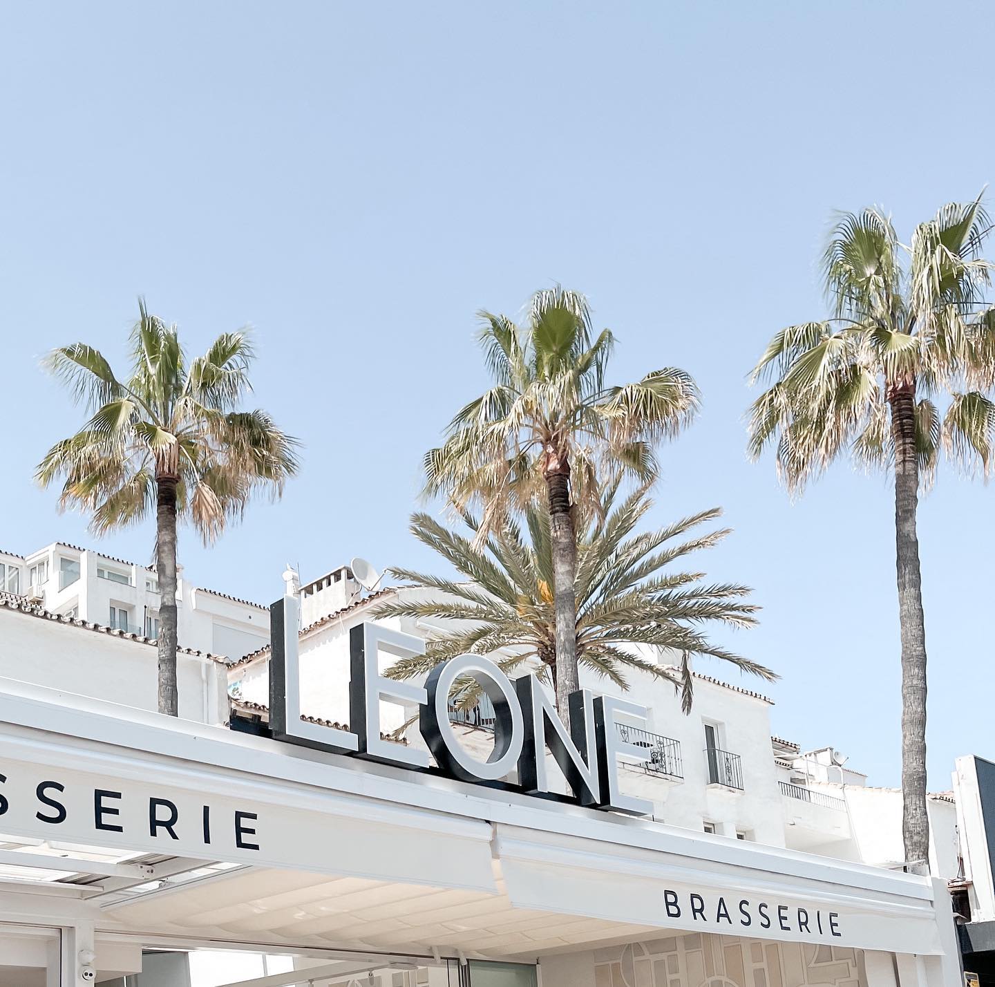 301619305_1521786334934082_2564258206503397715_n..jpg - Marbella