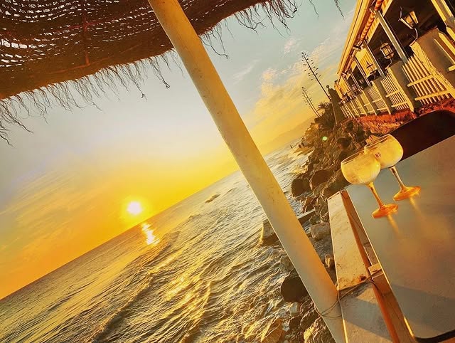 341151243_140225245684411_4260352766249938367_n..jpg - Marbella
