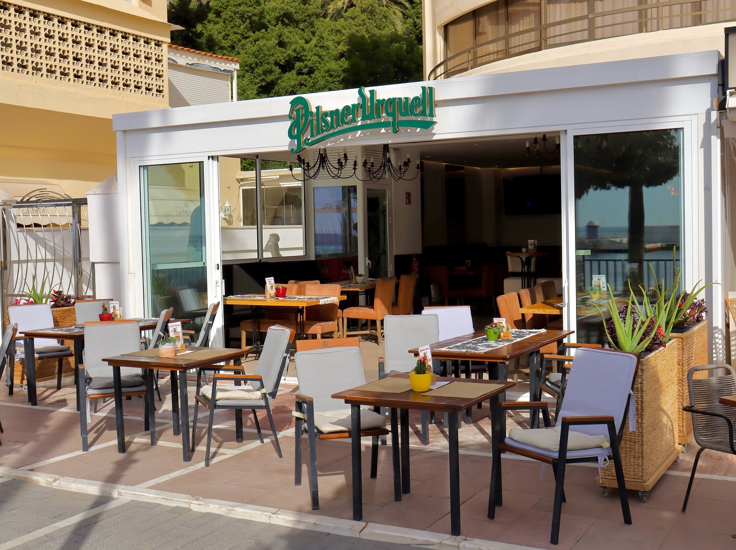 407971653_1030562634852532_6118871844606647582_n..jpg - Marbella