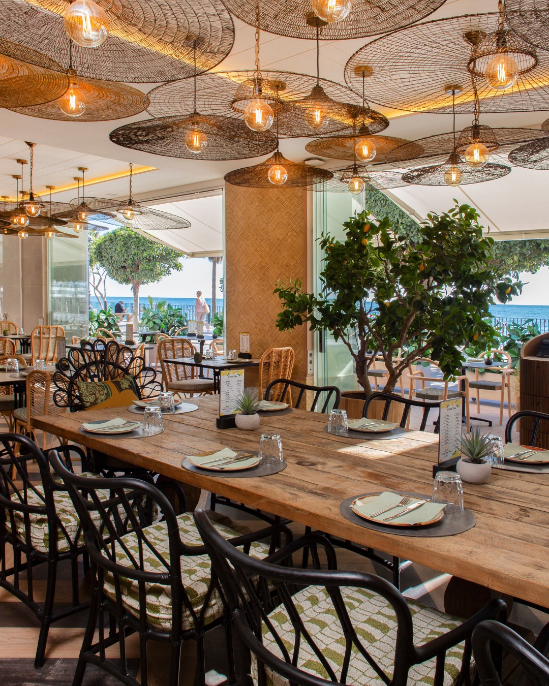 481917269_122144937560516584_941391714212043194_n..jpg - Marbella