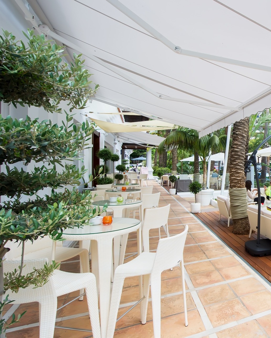 481047005_960498322885212_6394607994463995571_n..jpg - Marbella