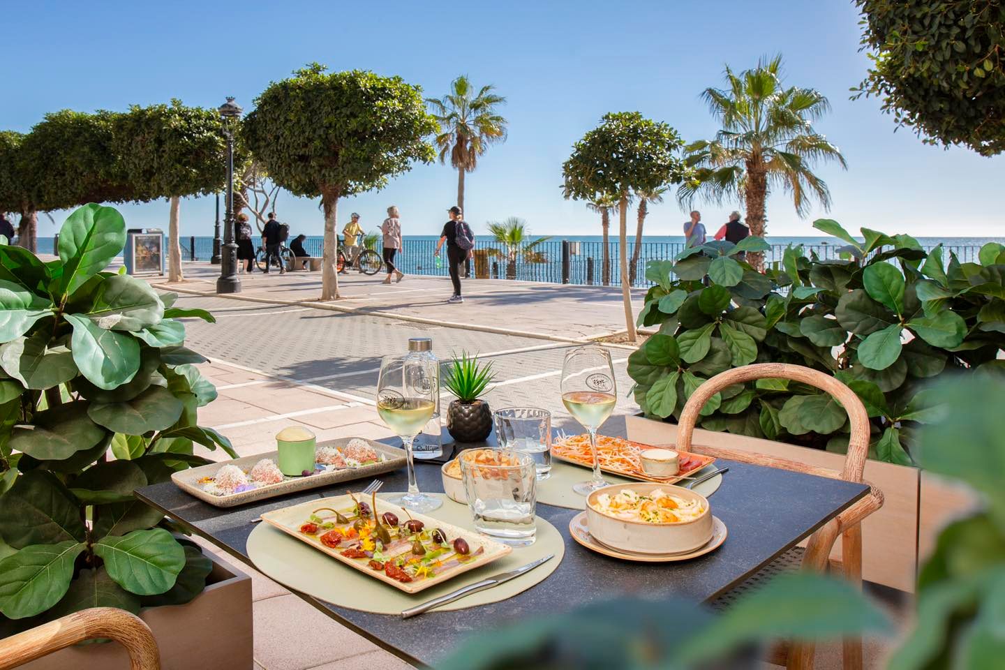 481917269_122144937560516584_941391714212043194_n..jpg - Marbella