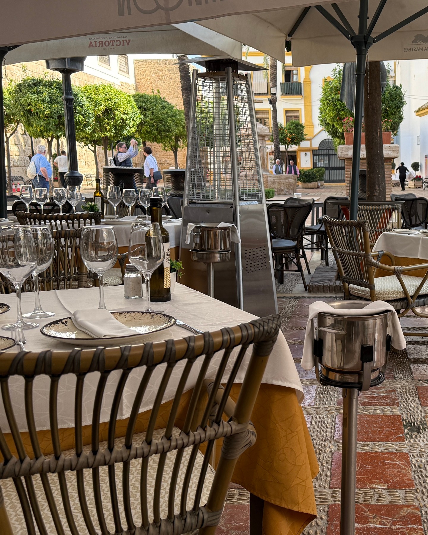 464190847_525084120157221_4984438334672988189_n..jpg - Marbella