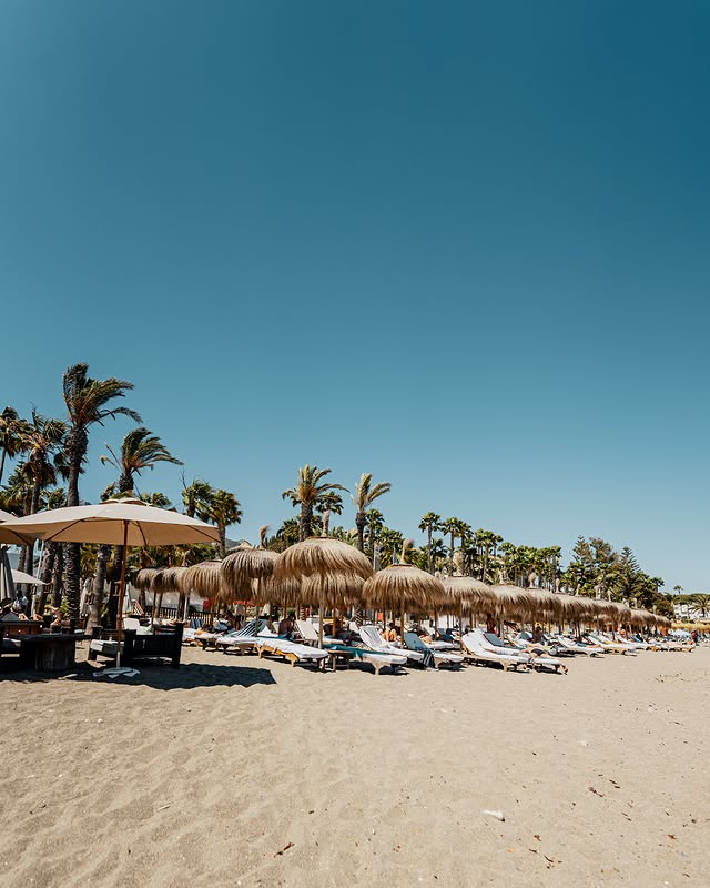 494716327_1253949950064132_7703388218896613357_n..jpg - Marbella