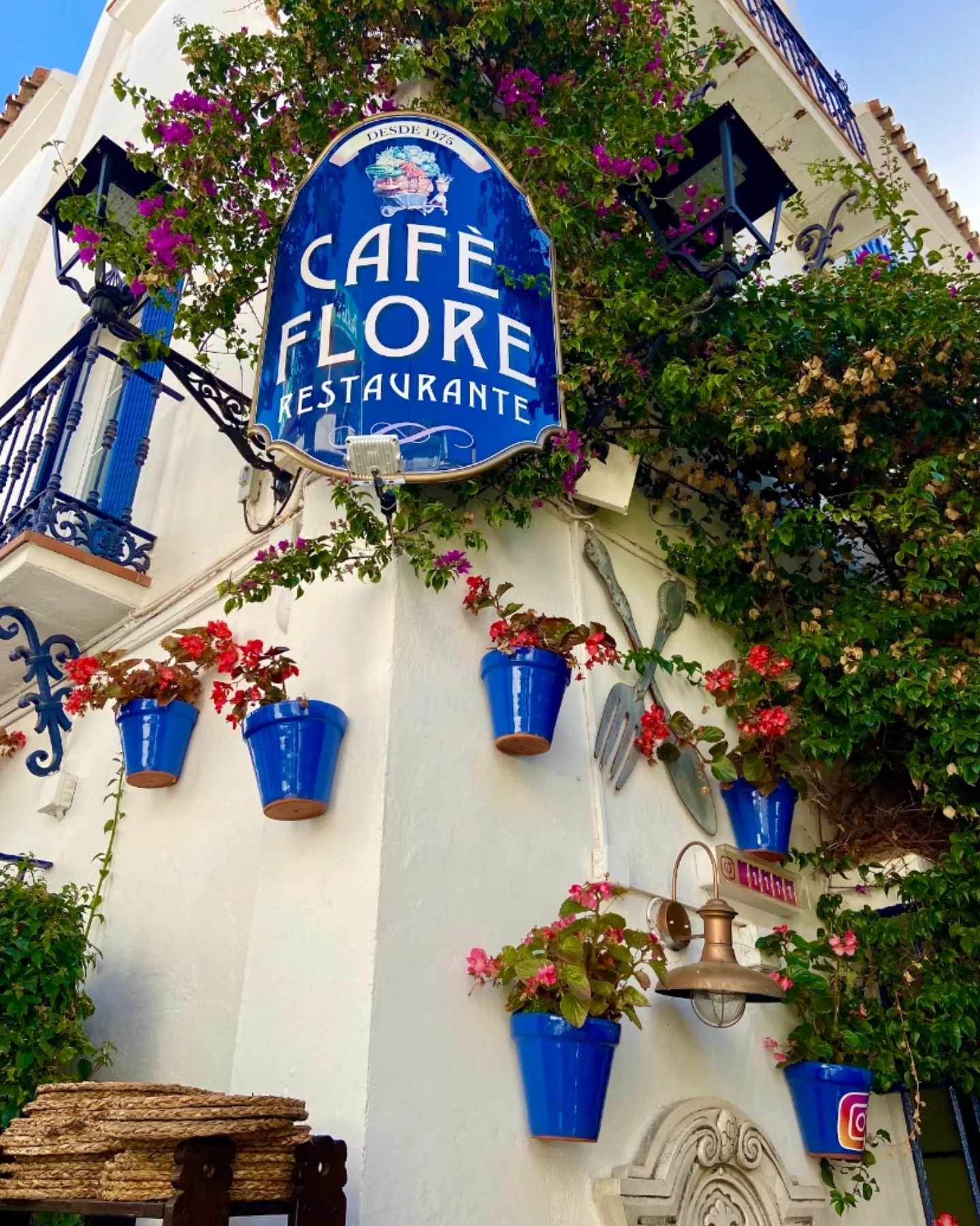 485044047_18114870055456285_2825032419872875855_n..webp - Marbella