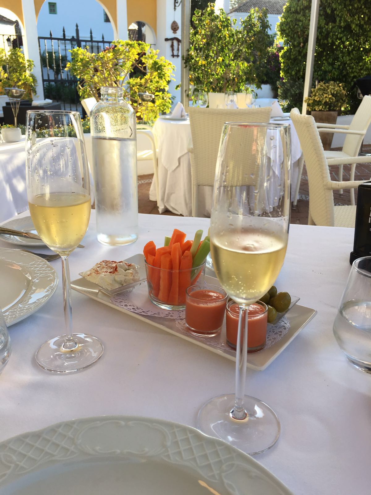 28916D11-058F-4F8F-90A1-4744F8624B00.jpeg - Marbella