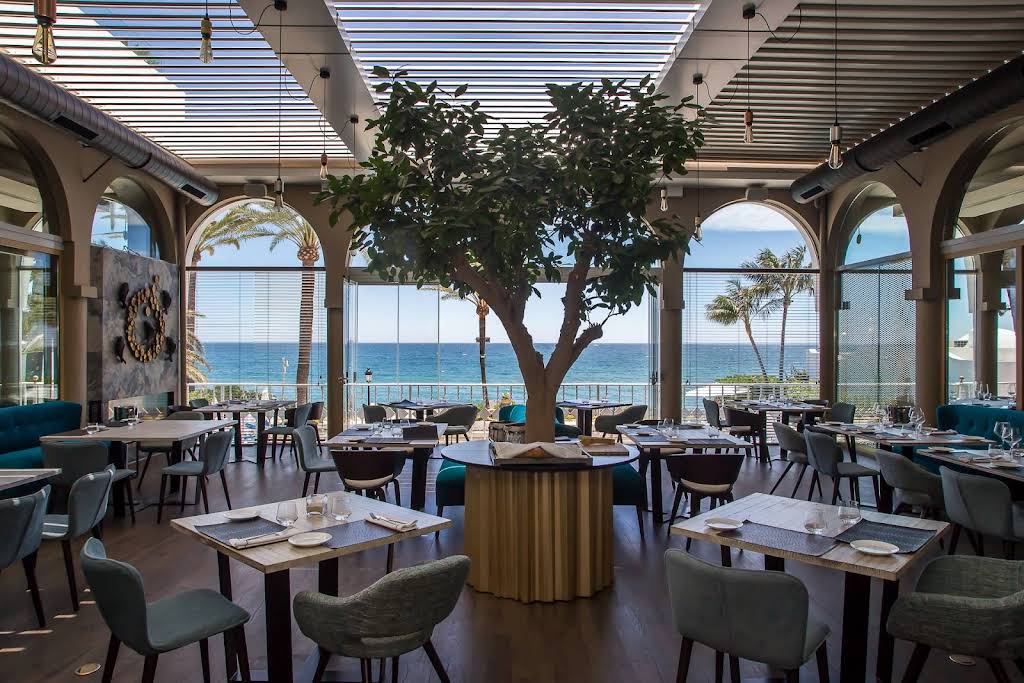 thera-4 - Marbella